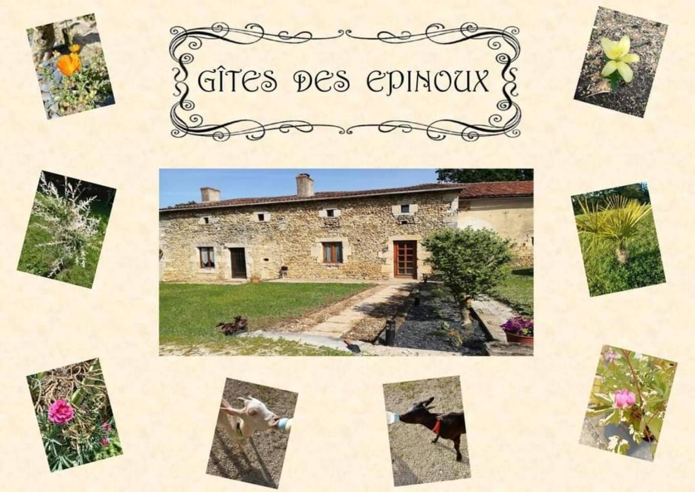 Le Papillon Vila Savigne Exterior foto